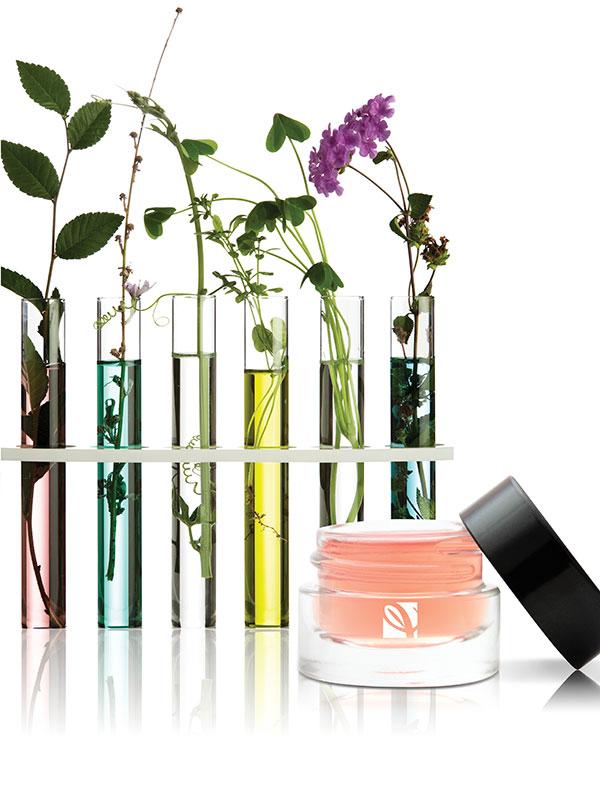 私人标签 Skincare Branding Image featuring a cream jar and vials of ingredients and flowers